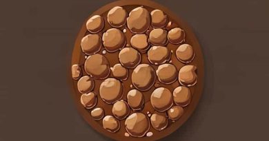 Brown Adipose Tissue Is Mostly Found In