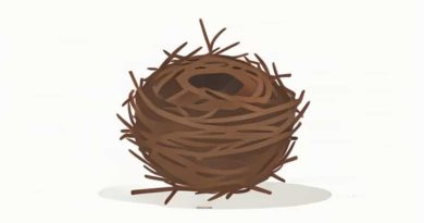 Call Of A Hungry Nestling Crossword Clue