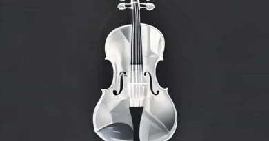 Cellophane Paper Is Transparent Or Translucent