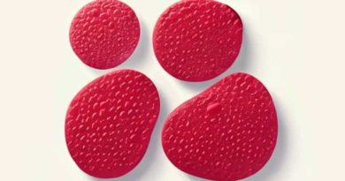 Cells In Adipose Tissue