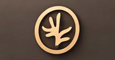 Como Quitar El Moho De La Madera