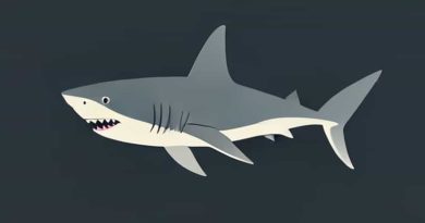 Count To 100 Finny The Shark