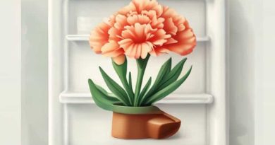 Does Carnation Caramel Set In The Fridge