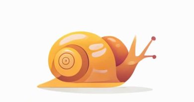 Does Snail Mucin Help With Acne