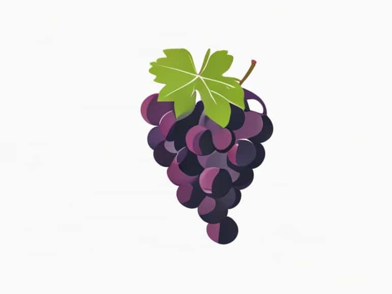 Downy Mildew Of Grapes Causal Organism