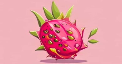 Dragon Fruit What Does It Taste Like