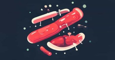 Dysentery Is Caused By Which Protozoa