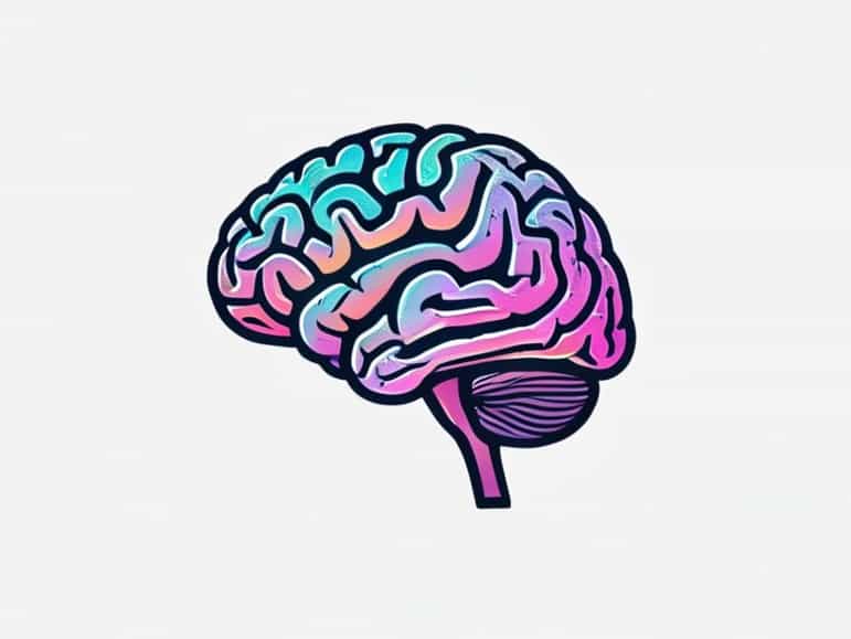 Effects Of Lsd On The Brain