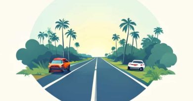 Florida Highway Safety And Motor Vehicles