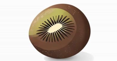 From Where Does Kiwi Fruit Come From