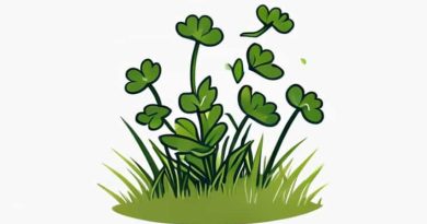 Getting Rid Of Common Chickweed In Lawn