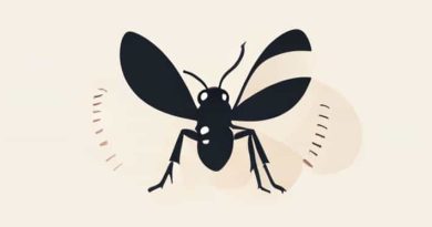 Give The Antonyms Of The Word Indiscretion