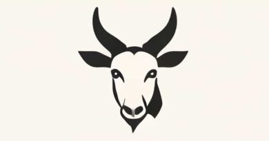 Gnu Make A Program For Directing Recompilation