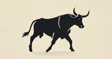 How Do U Say Bullfighting In Spanish