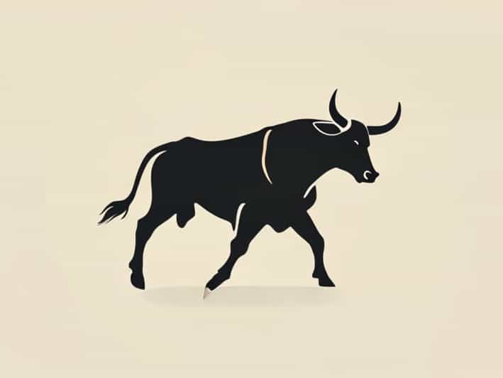 How Do U Say Bullfighting In Spanish