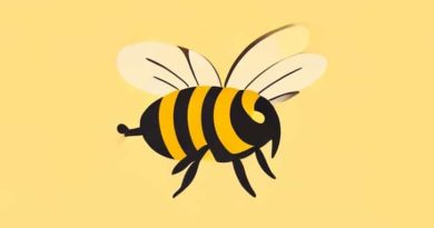 How Do You Get Stung By A Bee