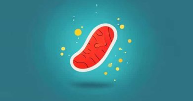 How Does Amoeba Engulf The Food Ptopic