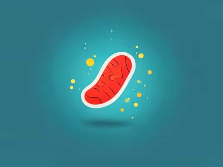 How Does Amoeba Engulf The Food Ptopic