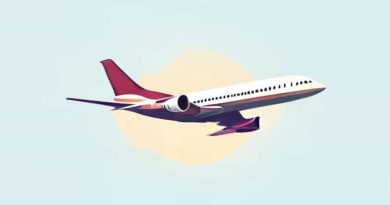 How Fast Does A Commercial Airliner Fly