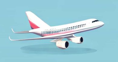 How Fast Is A Commercial Airliner