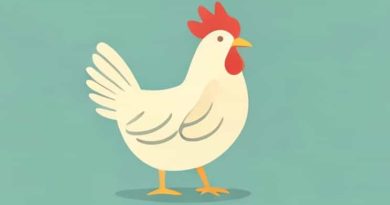 How Long Do Chickens Live In Captivity