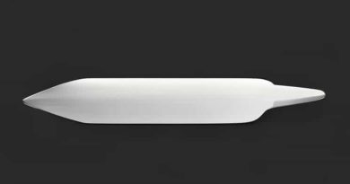 How Long Is A Biconcave Microtome Knife