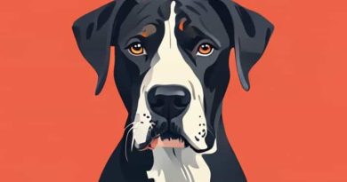 How Much Are Harlequin Great Dane Puppies