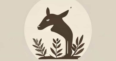 How Much Does A Wildlife Conservationist Make