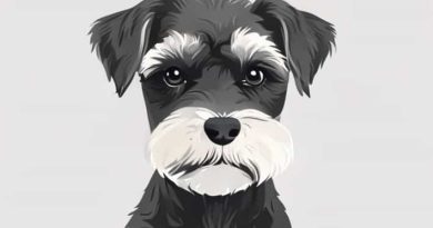 How Much Is A Mini Schnauzer Puppy