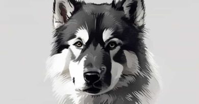 How Much Is An Alaskan Malamute Puppy