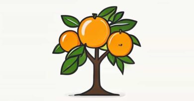 How Much Is An Orange Tree