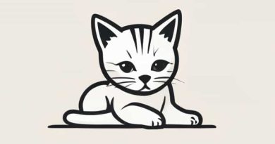 How Much Is It To Cremate A Kitten