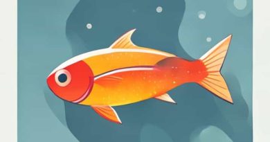 How To Tell If Fish Oil Is Rancid