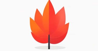 How To Use Fervid In A Sentence