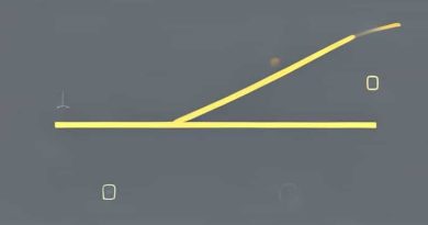 Illustrate Schematically The Process Of Initiation Elongation