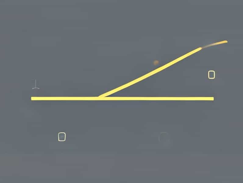 Illustrate Schematically The Process Of Initiation Elongation