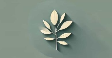 In The Perks Of Being A Wallflower