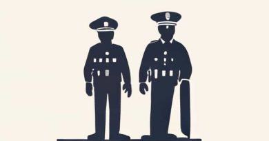 In Which Country Are Policemen Called Bobbies