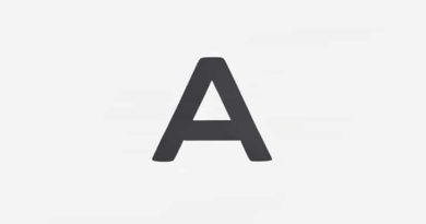 In Your Own Words What Is An Appositive