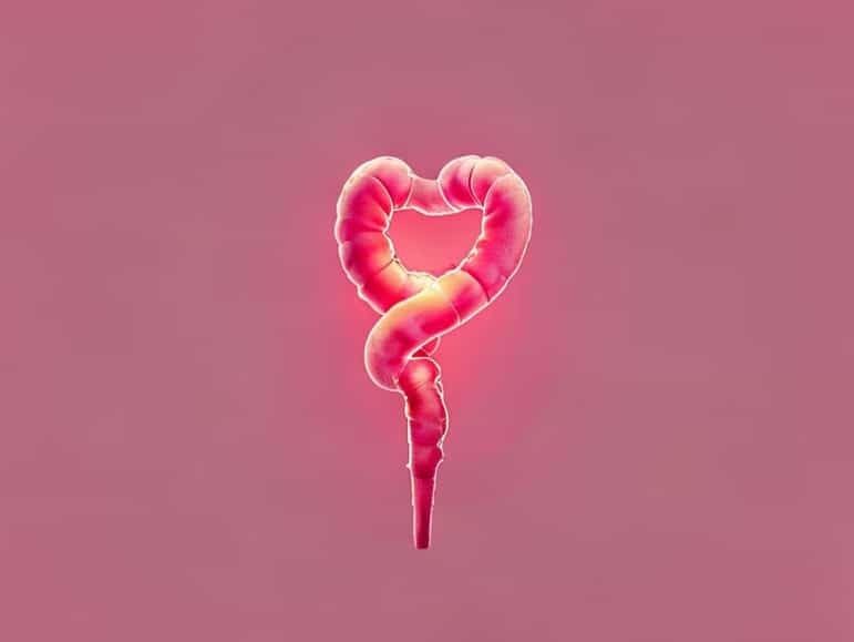 Inflammation Of Fallopian Tube Is Called