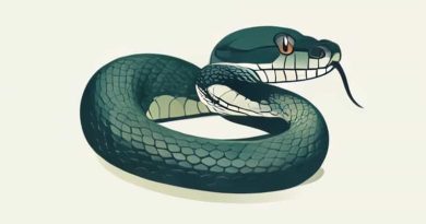 Is A Cottonmouth A Water Snake