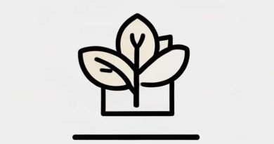 Is Dearness Allowance Given Every Month