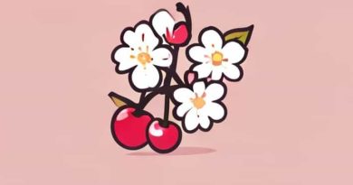 Is It Cherry Blossom Season In Japan