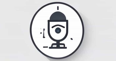 J Ai La Grippe En Anglais