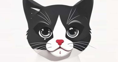 Kitten Has Snotty Nose And Eyes