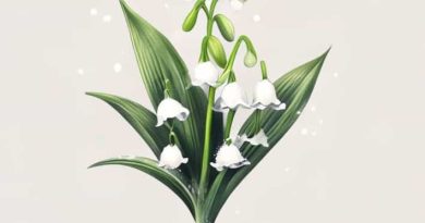 Lily Of The Valley And Snowdrop Tattoo