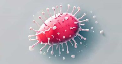 Listeria Monocytogenes From Saprophyte To Intracellular Pathogen