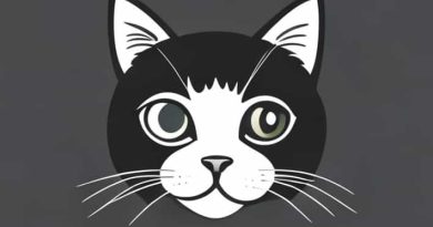 My Cat Has An Abscess That Popped