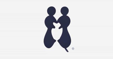 Non Hodgkin'S Lymphoma Vs Hodgkin'S Lymphoma