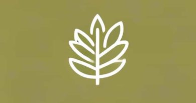 Para Que Sirve El Te De Melisa